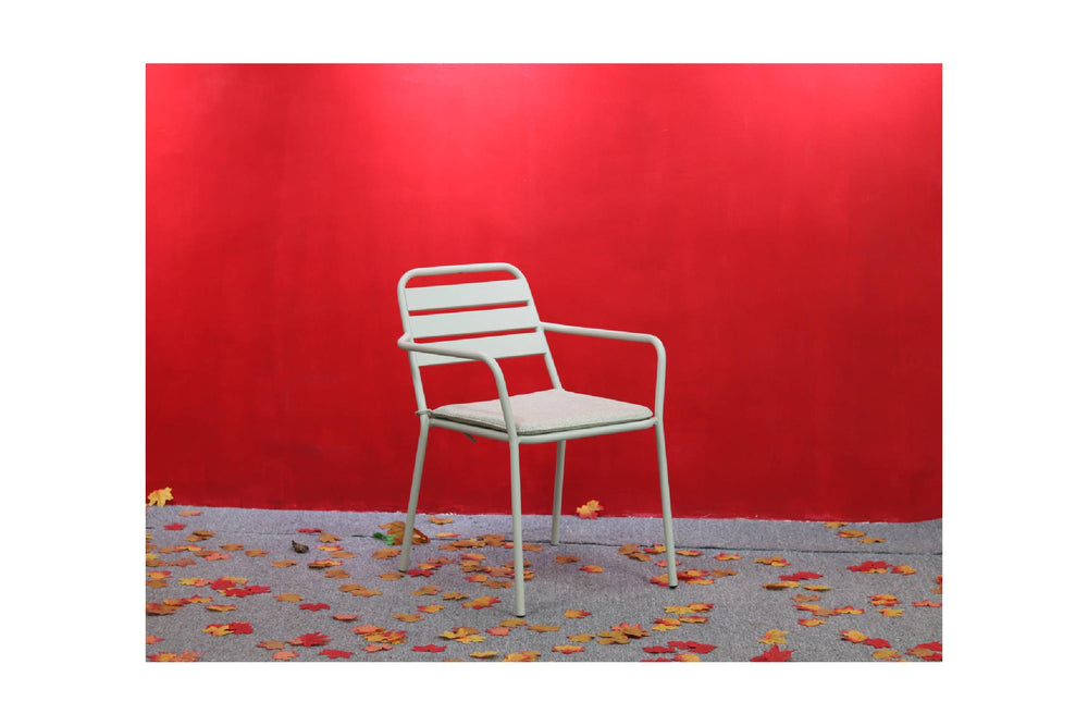Darwin Chair W/Cushion Set
