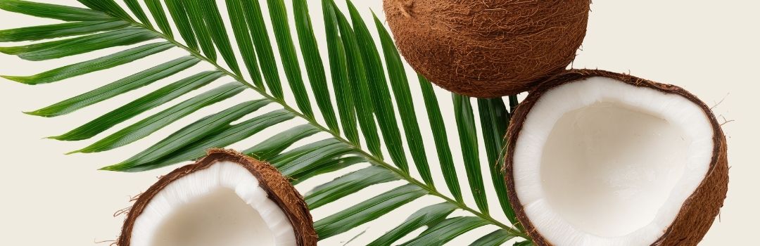 Limber de Coco