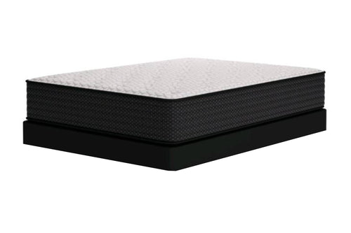 M41131 Ashley Sleep | Limited Edition Mattress Twin Plush & Box Spring Low Profile