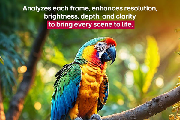 Loro colorido posado en una rama con un fondo verde borroso en una pantalla de televisor. 