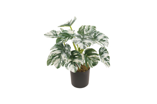 AP10046F25-90-GRN AP-10046 Planta Artificial con Maceta