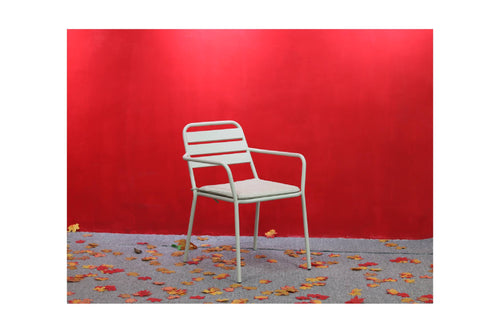 Darwin Chair W/Cushion Set