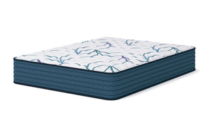M450 Ashley Sleep | Limited Edition Firm 3.0 Mattress
