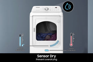 3200 Secadora 7.2' Ele Smart