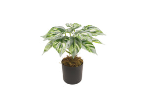 AP10120B-90-GRN AP-10120 Artificial Plant W/Pot
