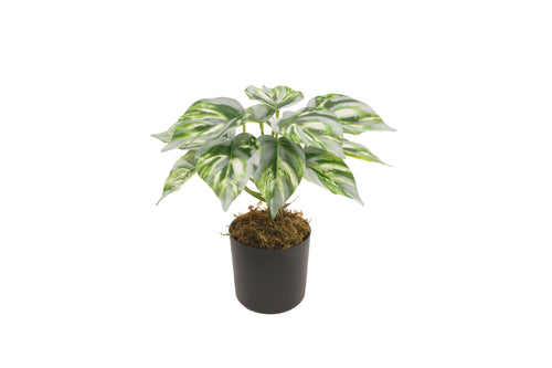 AP10120B-90-GRN AP-10120 Artificial Plant W/Pot