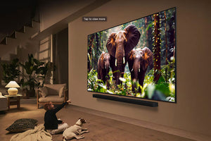 QNED 65" Evo AI 4K Smart