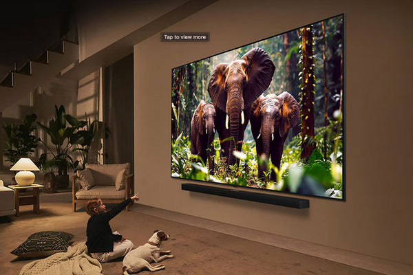 QNED 65" Evo AI 4K Smart