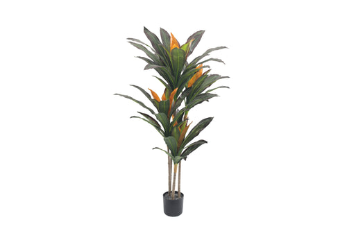AP10136105-90-GRN AP-10136 Artificial Dracaena W/Pot