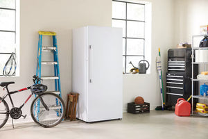 Freezer 21' Upright INV ES