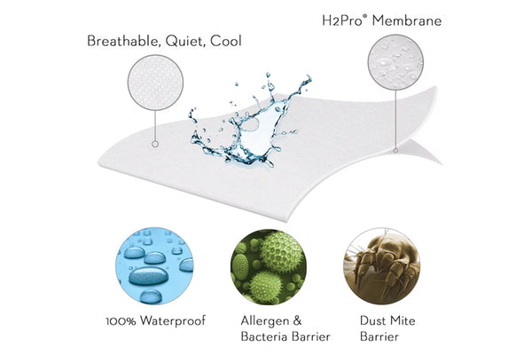 Diagrama de una membrana con características etiquetadas sobre un fondo blanco.