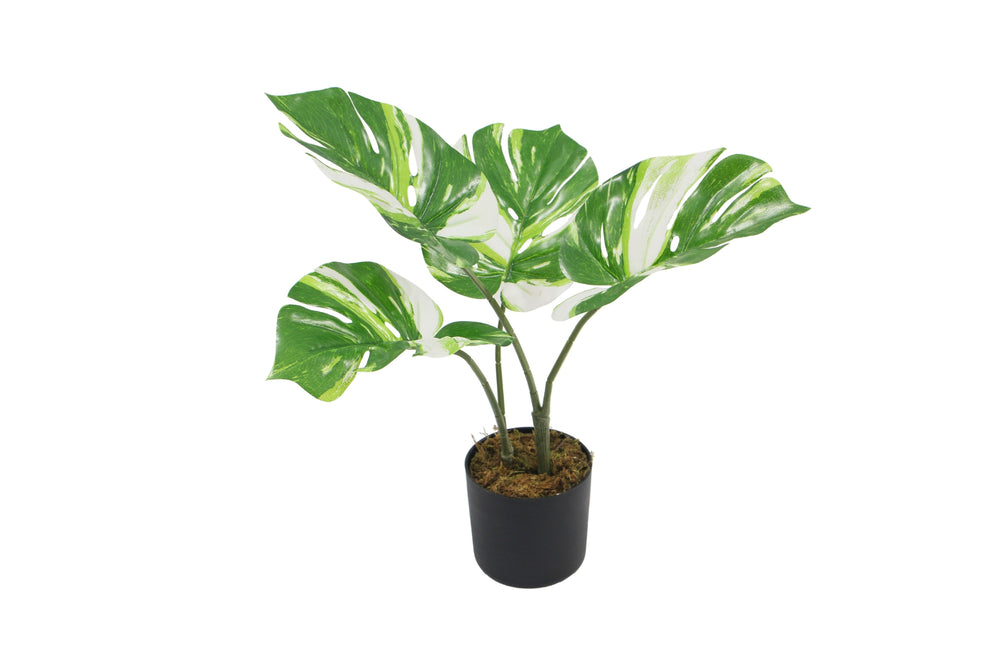 AP10046F50-90-GRN AP-10046 Planta Artificial con Maceta