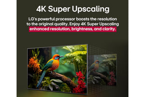Publicidad de la tecnología Super Upscaling 4K con un pájaro en una rama mostrado en una pantalla.