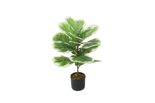 AP10052B60-90-GRN AP-10052 Artificial Plant W/Pot