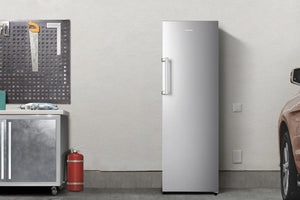 10.2' Freezer Upright Inverter